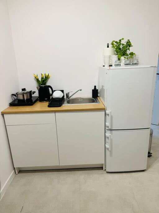 Next To Motlava Apartment Гданск Екстериор снимка